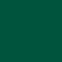 RAL6005 - зеленый мох